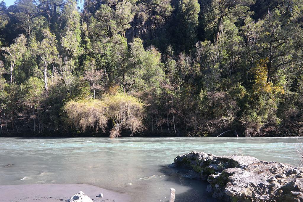 Ralun Patagonia Guest House Exterior foto