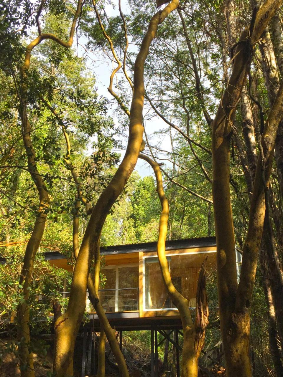 Ralun Patagonia Guest House Exterior foto